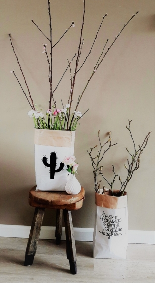 Cactus Paperbag XS Theresia blog